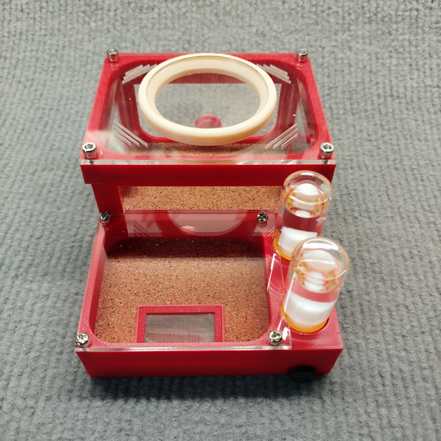 小型蚁饲养盒石膏一体式蚁巢