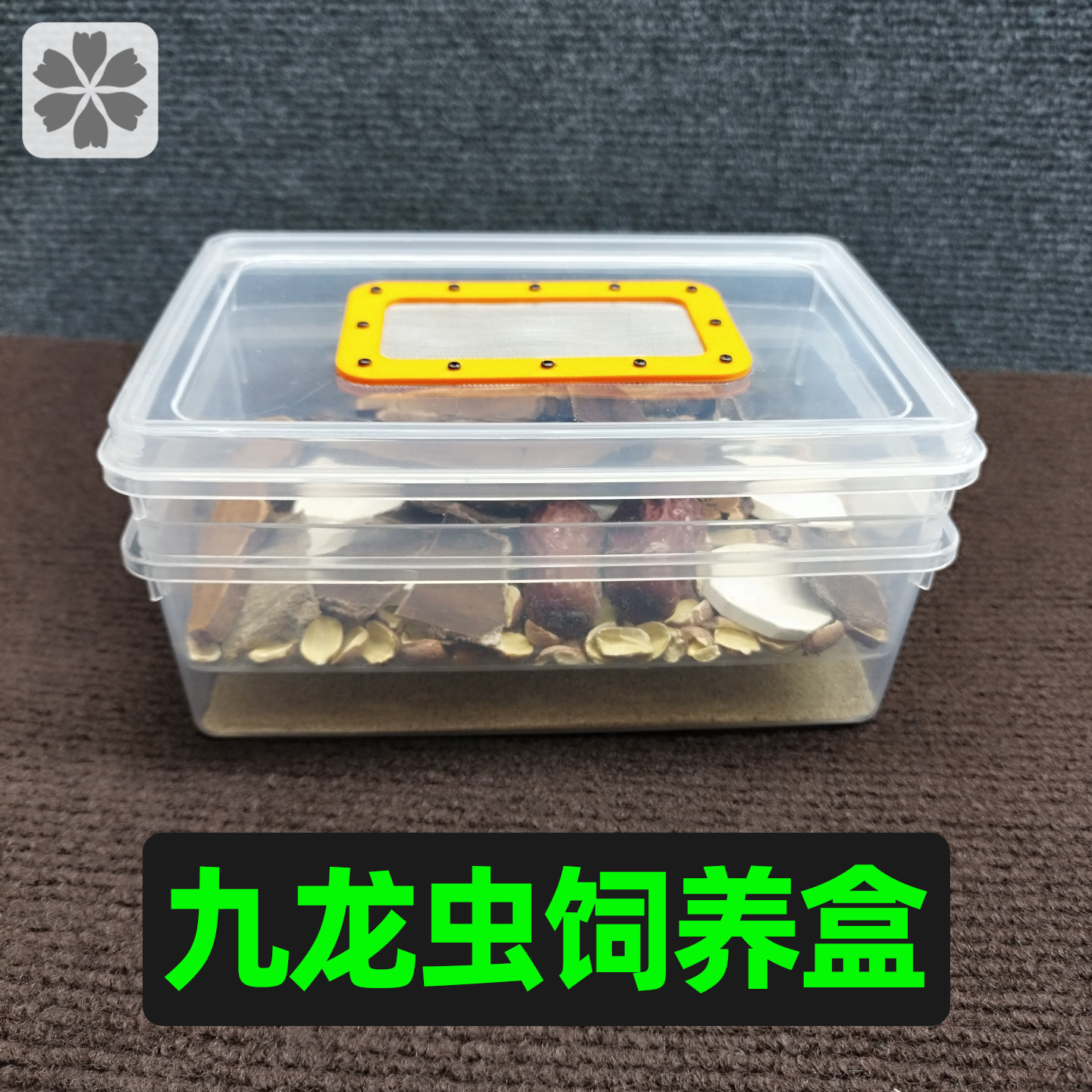 九龙虫饲养盒通风透明饲养箱