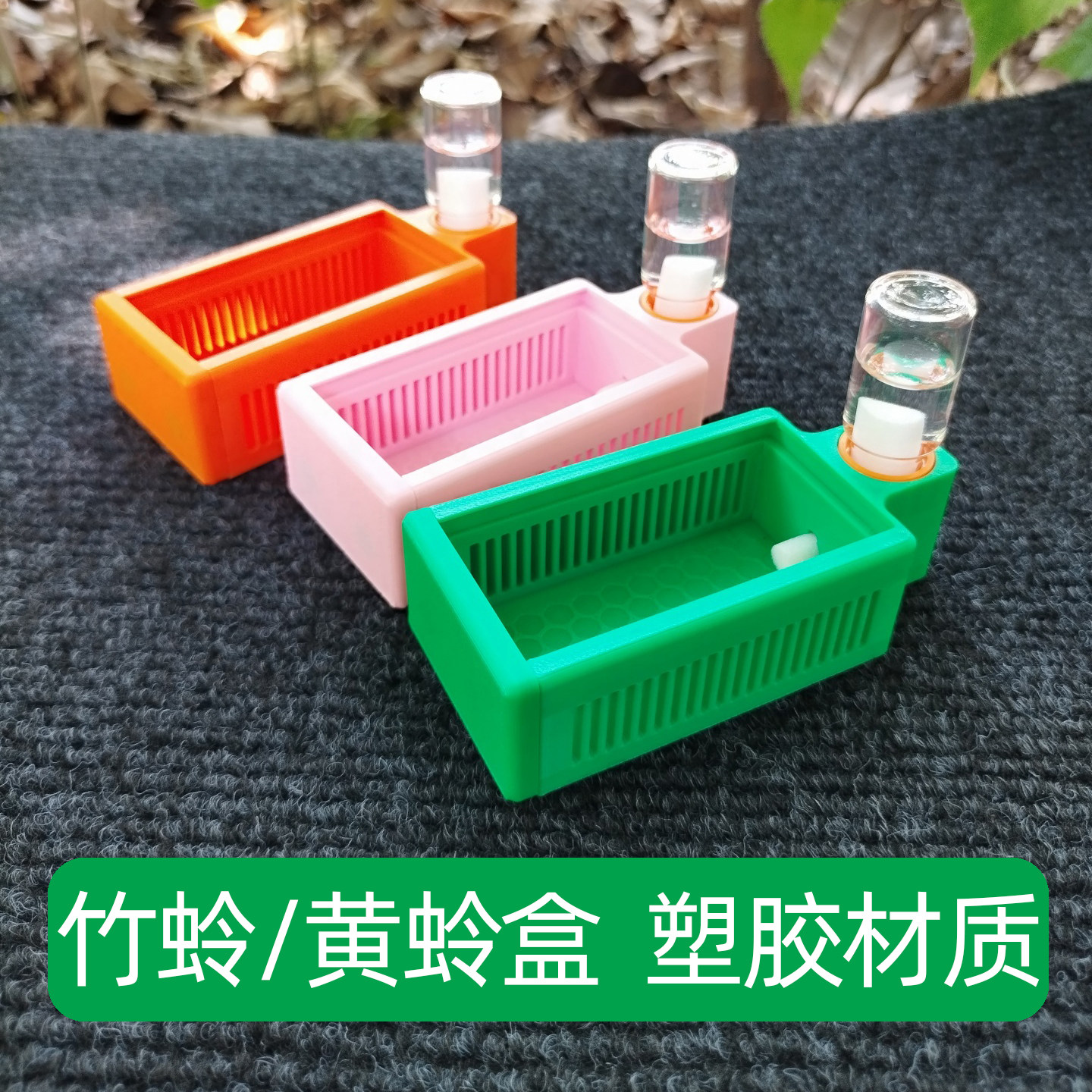 竹蛉专用塑料鸣虫盒3D打印小黄蛉大黄蛉饲养盒家用透气保湿蛉虫盒