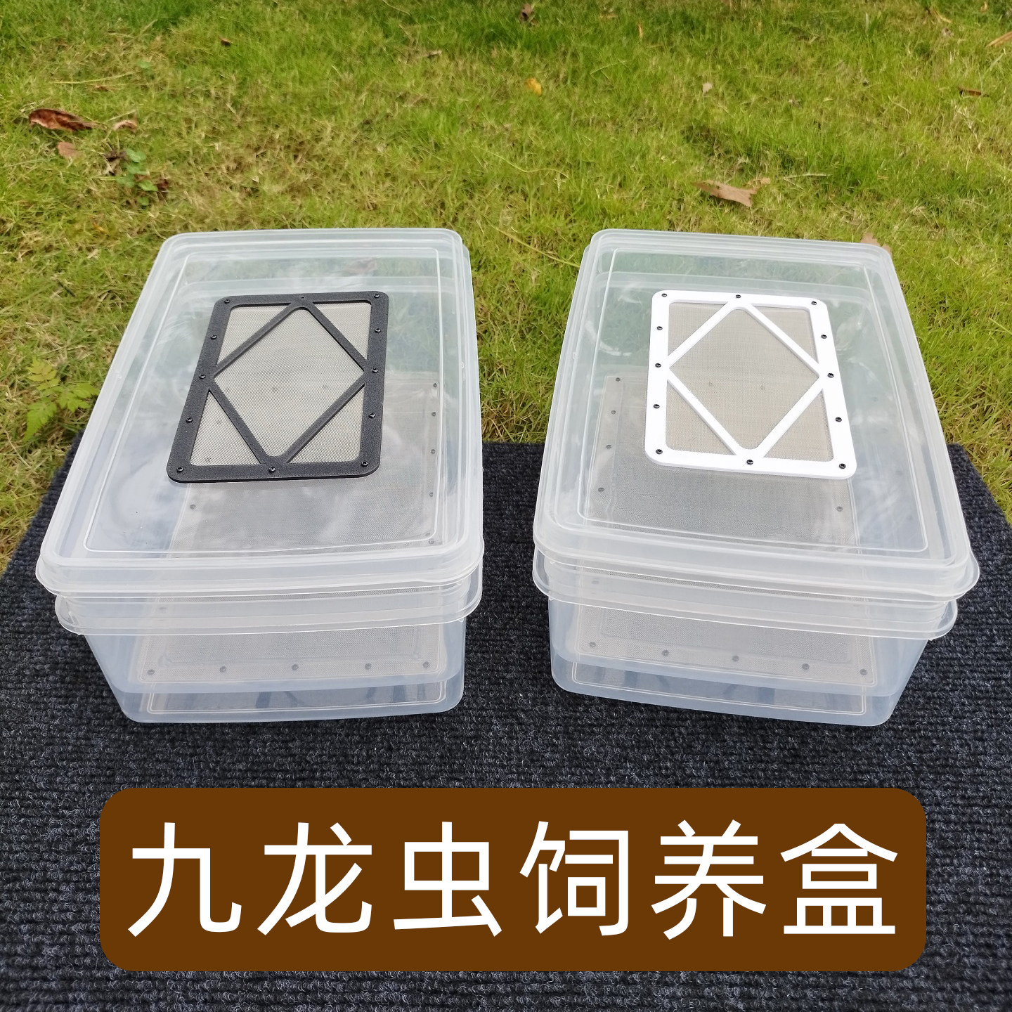 九龙虫饲养盒养殖盒过滤粪便
