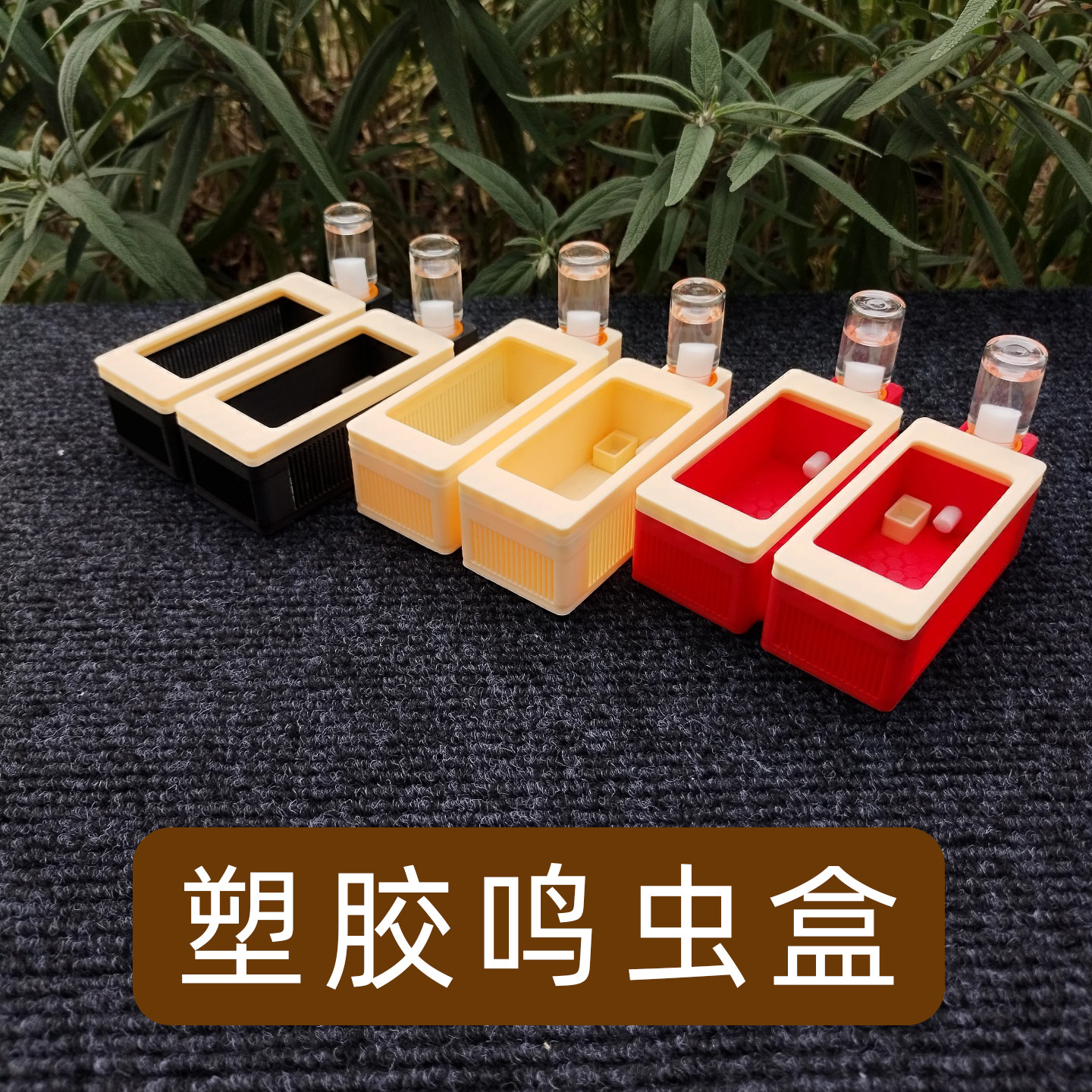 新款双格黄蛉鸣虫盒塑料饲养盒竹蛉虫具蛉子蛉虫盒加湿器保湿