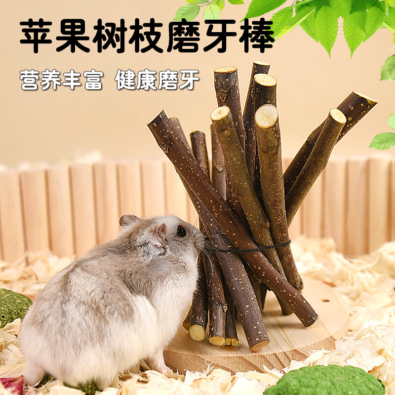 仓鼠零食金丝熊龙猫兔子磨牙的用品甜竹苹果树枝磨牙棒苜蓿草