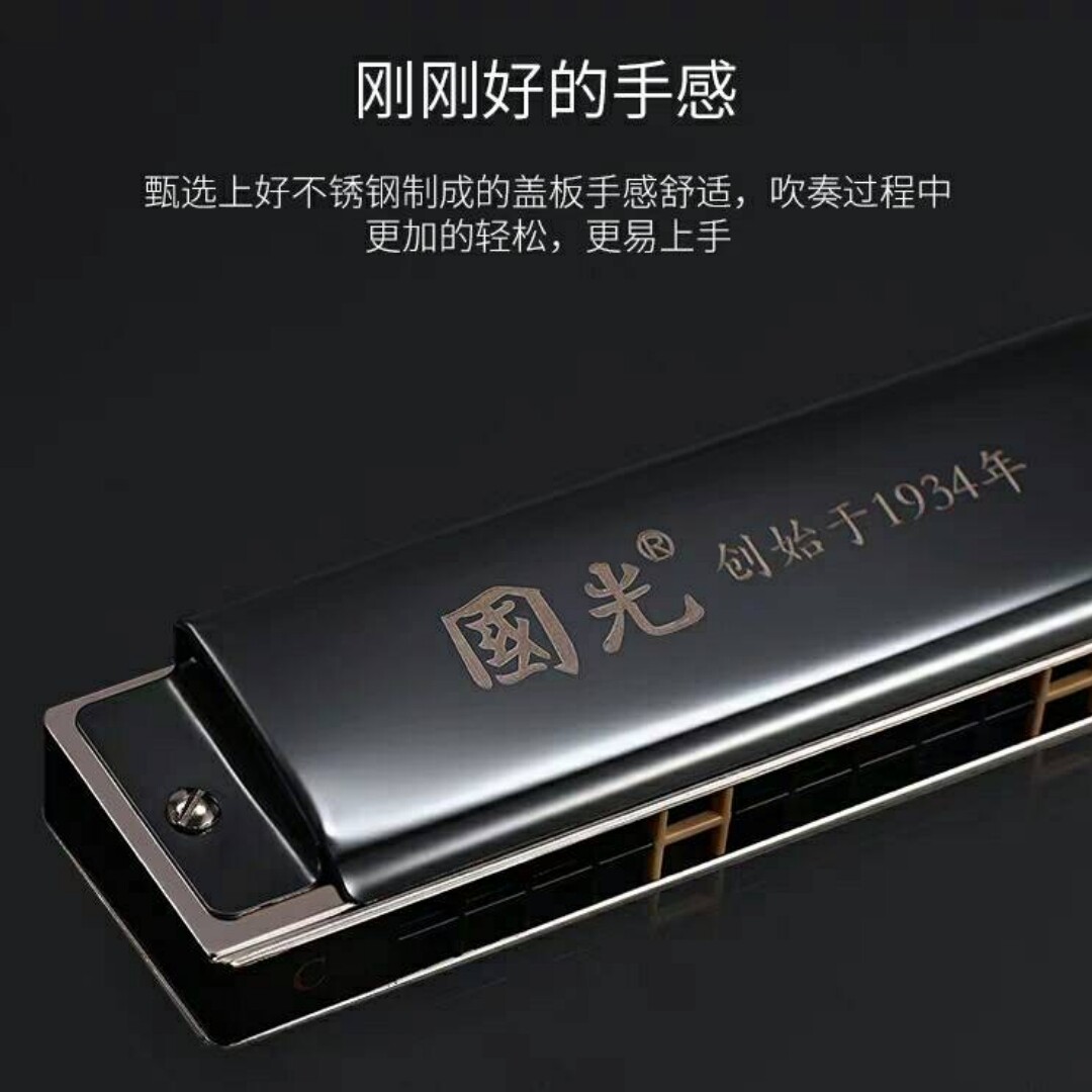 专业口琴24孔复音C调初学者