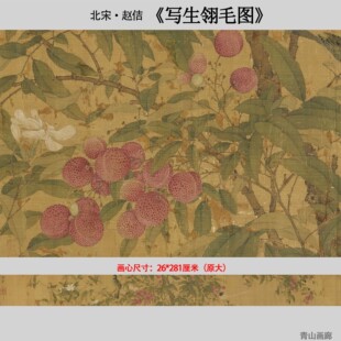 北宋 宋徽宗赵佶 写生翎毛图荔枝花鸟工笔画国画高清微喷复制临摹