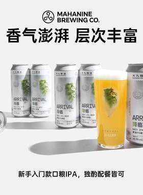 大九酿造降临浑浊IPA啤酒500ML