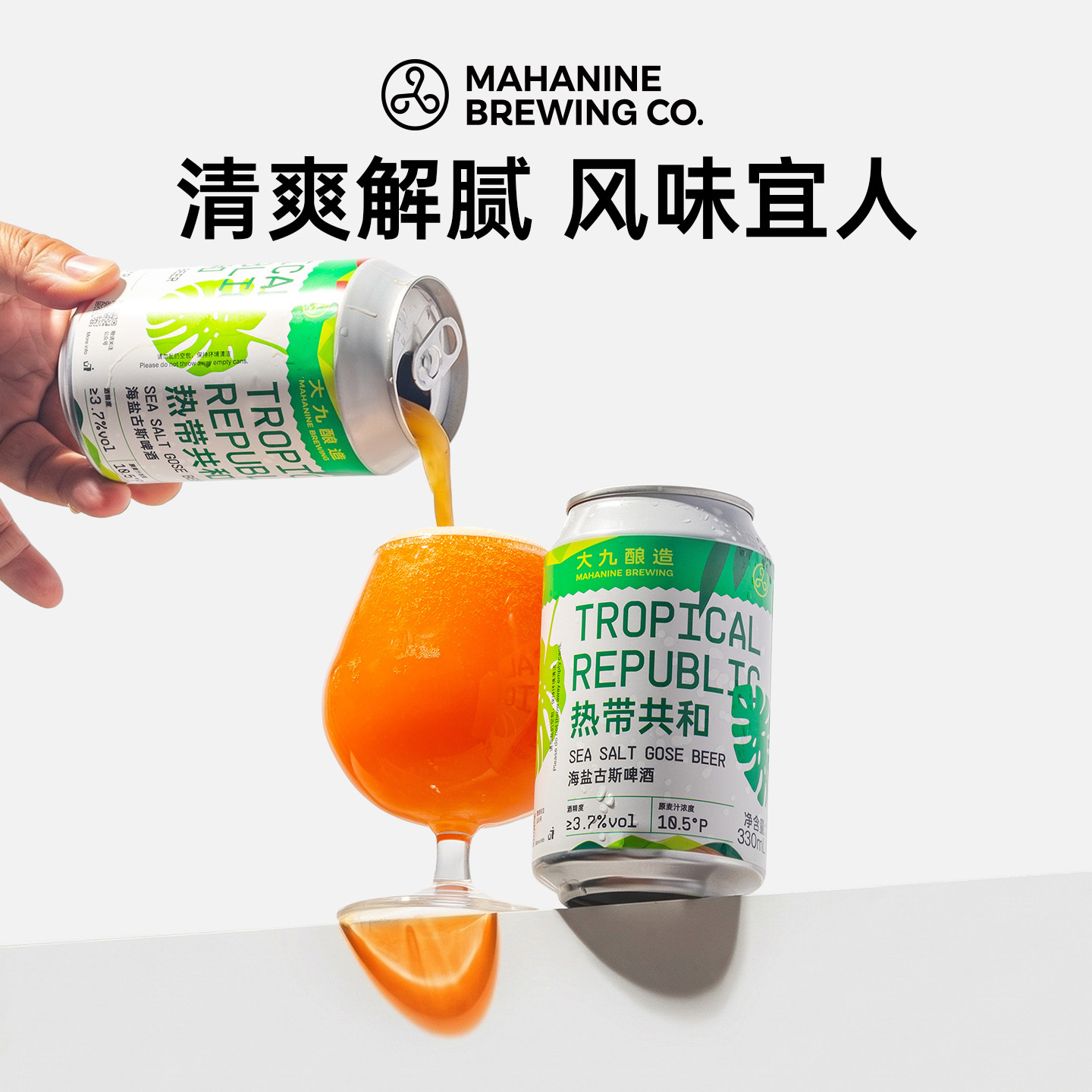 大九酿造热带共和海盐古斯啤酒330ml*2罐装国产精酿柠檬西柚鲜啤