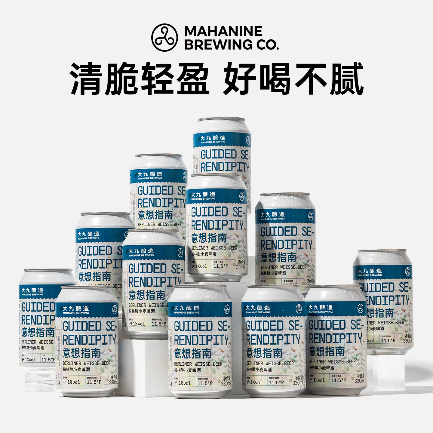 大九酿造意想指南柏林酸小麦啤酒330ml*12罐整箱国产精酿金桔柠檬