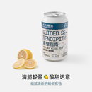 大九酿造意想指南柏林酸小麦啤酒精酿330ml易拉罐金桔柠檬酸啤