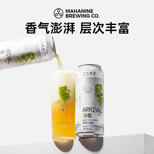 大九酿造降临浑浊IPA啤酒500ML