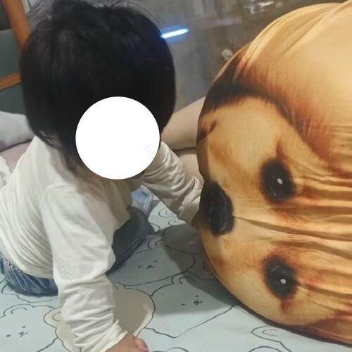 金毛短裤搞笑大狗狗可爱2