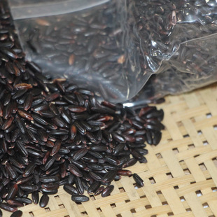 隆福源五常基地黑米420克新米五谷杂粮黑米粥原料