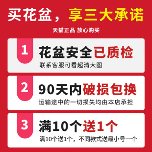 绿高档包兰特塑新萝底清盆款 2021肉花价兰吊加托花盘邮座料b仓多