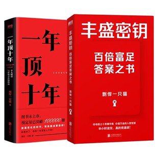 【全2册】丰盛密钥+一年顶十年 剽悍一只猫 一本写给奋斗者的高阶进化指南 价值万金的入世智慧 成长励志 自我提升 磨铁图书