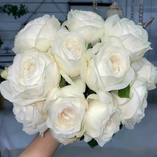 婚礼之路月季对版苗切花月季纯白色灌木勤花月月阳台庭院盆栽花苗