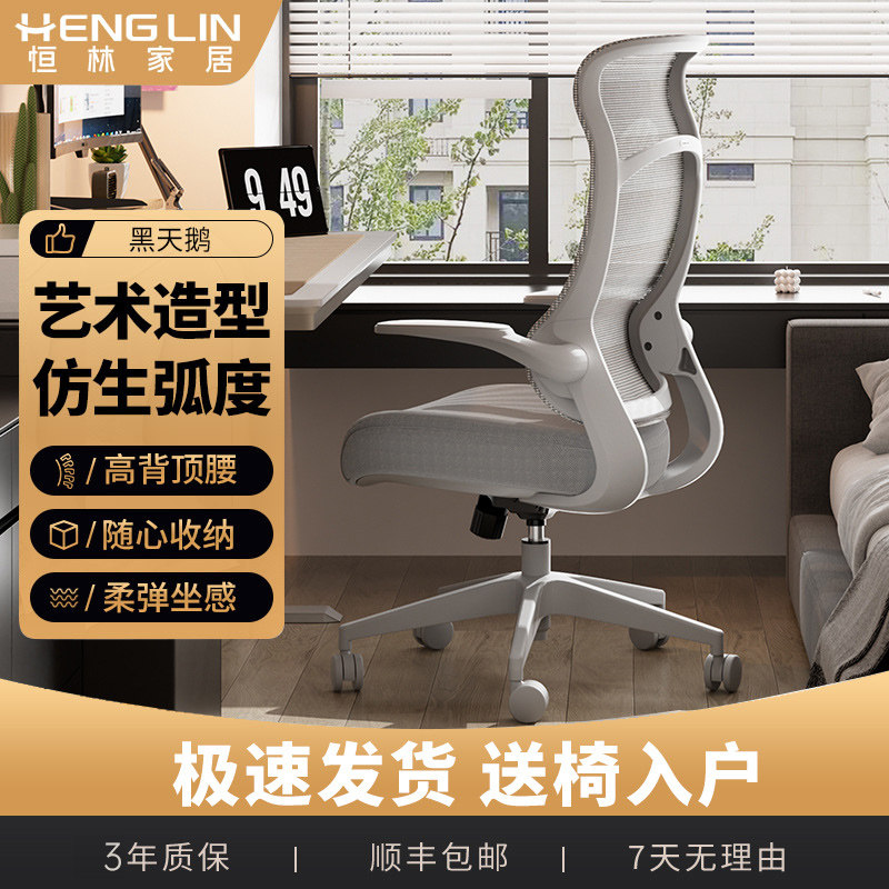 恒林天鹅椅电脑椅家用舒适顶腰椅人体工学椅办公椅学习椅小户型椅
