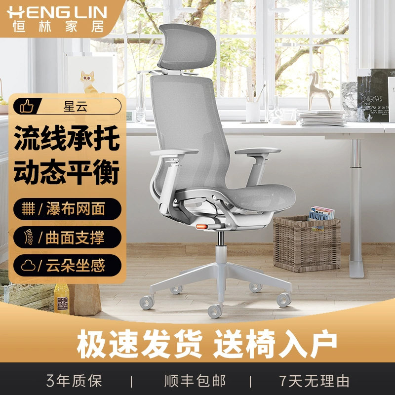 恒林高端人体工学椅电脑椅家用仿生久坐透气靠背座椅现代简约椅子