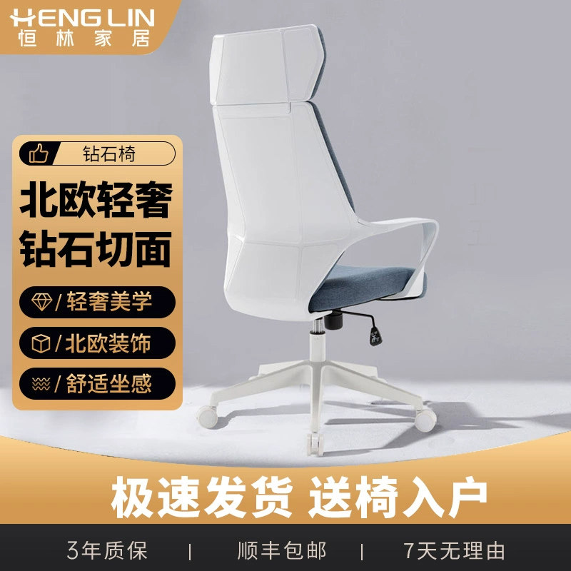 恒林人体工学椅家用电脑椅舒适久坐办公椅轻奢现代简约护腰椅