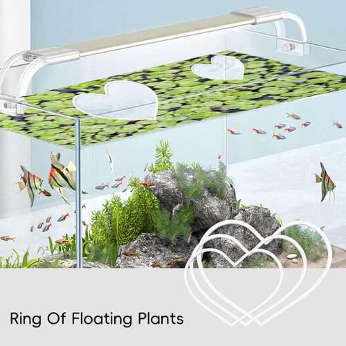 跨境新品2024 水族箱漂浮植物泡沫环 植物围栏园艺浮植物固定装饰