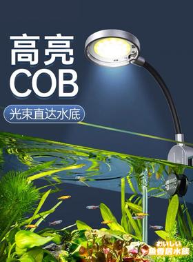 金利佳小鱼缸圆缸灯斗鱼缸灯全光谱照明水草灯COB灯带LED灯小缸夹