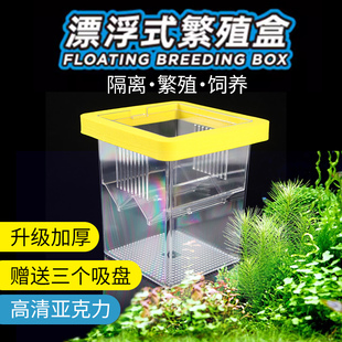 孔雀鱼繁殖盒鱼缸内隔离盒漂浮小鱼苗小型幼鱼母鱼孵化器