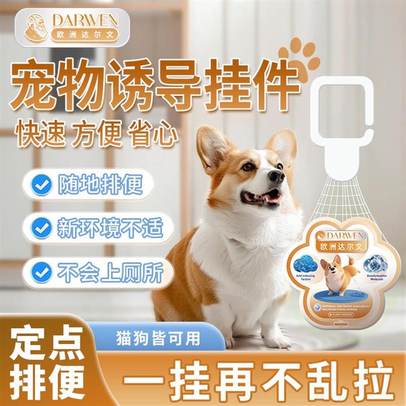 狗狗定点上厕所神器专研狗定点排便神器上厕所诱导挂件大小便训练
