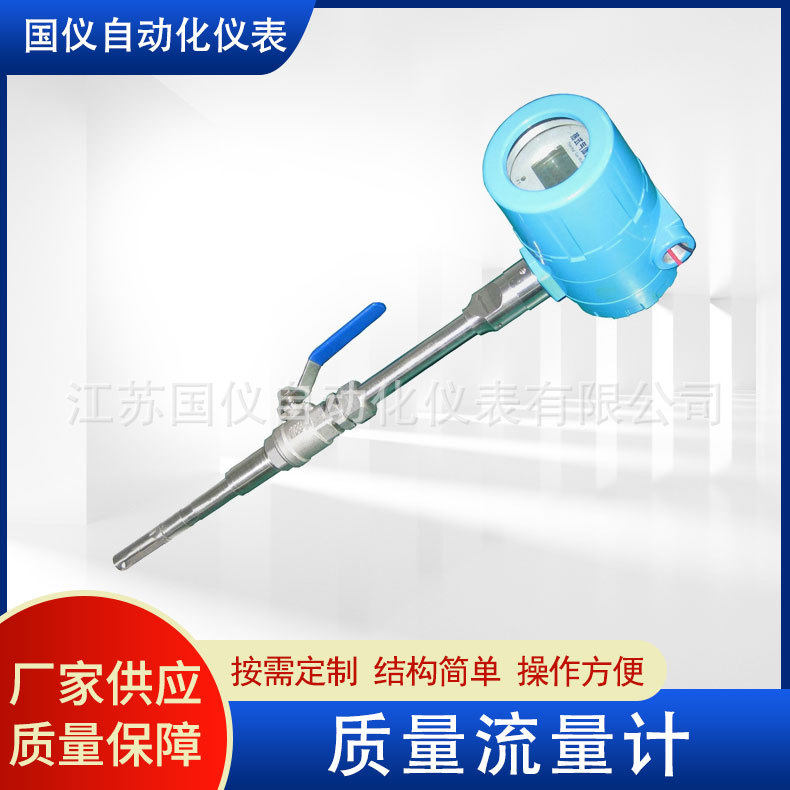 厂家供应质量流量计 插入式数显气体氢气热式质量流量计