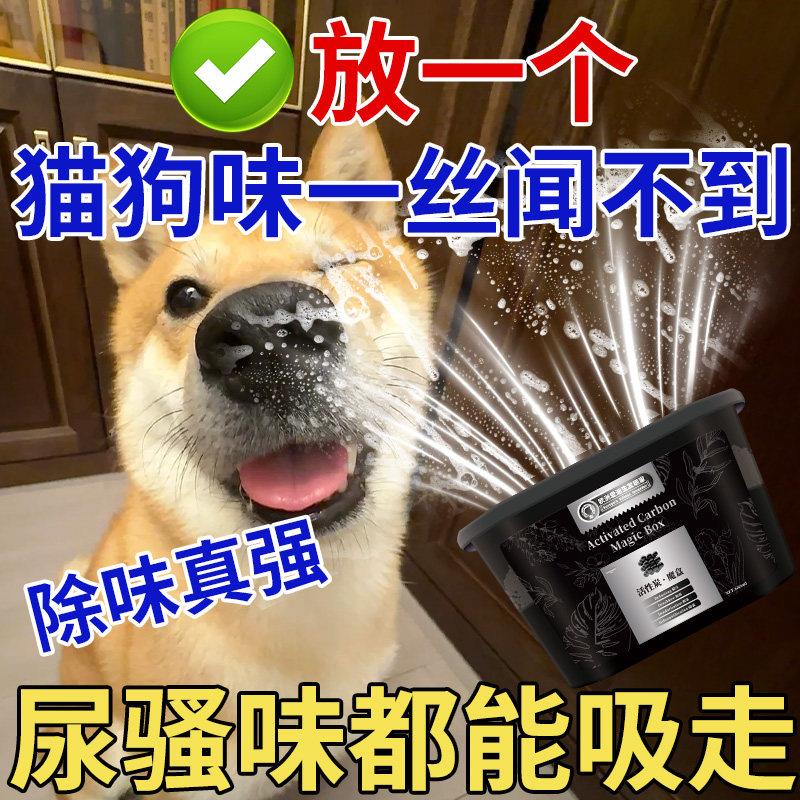 【家里没尿骚味了】超强除宠物猫咪狗狗尿骚味全天候清洁空气除臭