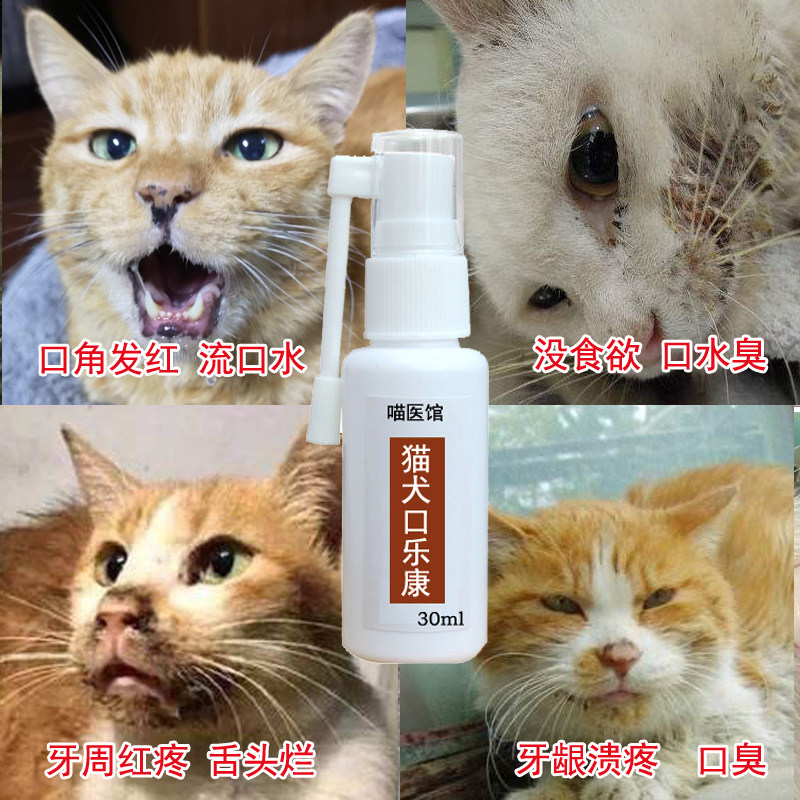 猫狗口炎口腔溃烂嘴牙龈红肿流口水口臭犬口炎喷剂牙龈发炎杯状
