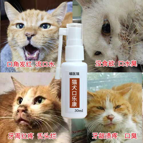 猫狗口舌红口腔溃烂嘴牙龈发红流口水口臭犬口腔喷剂进食困难杯状