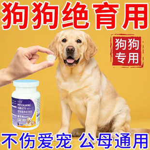 狗狗绝育药公母狗抑制狗永久禁情药专用绝育长效避事后紧急孕脱胎