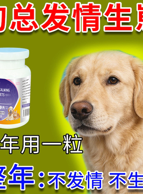 狗狗永久绝育药避孕长效母狗绝育药抑制狗发情的药防止狗骑跨乱尿