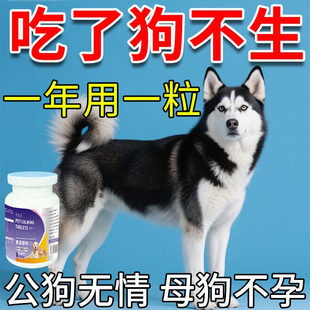 狗狗避孕绝育药永久不发情抑制药公母狗通用防止狗发情怀孕绝育片