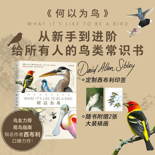 何以为鸟：西布利的鸟类世界 戴维·艾伦·西布利 当代观鸟画鸟大师西布利画册 200余个常见鸟种或类群介绍鸟类生活 识鸟辨鸟指南