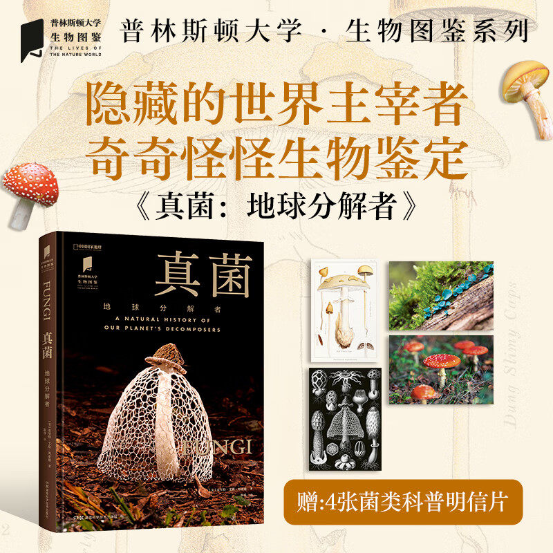 真菌：地球分解者 赠明信片 植物野生菌图鉴书籍普林斯顿大学生物图鉴 关于真菌的重要基本事实262幅高清图片 科学的视觉呈现