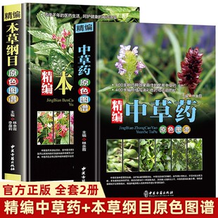 【全2册】本草纲目+精编中草药原色图谱彩图版正版精装 中草药大全图鉴中国药材图鉴大全常用中草药识别应用原色图片中医学书籍