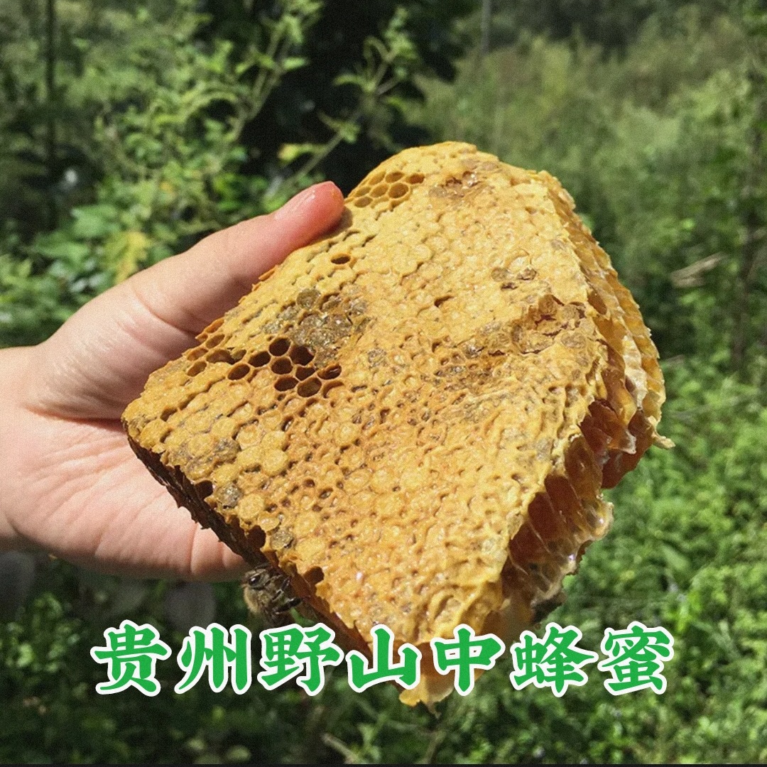 贵州正宗农家土蜂蜜纯天然纯正自产深山成熟结晶百花蜂蜜500g包邮