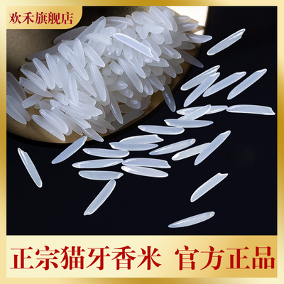 欢禾正宗猫牙米10斤丝苗米煲仔饭