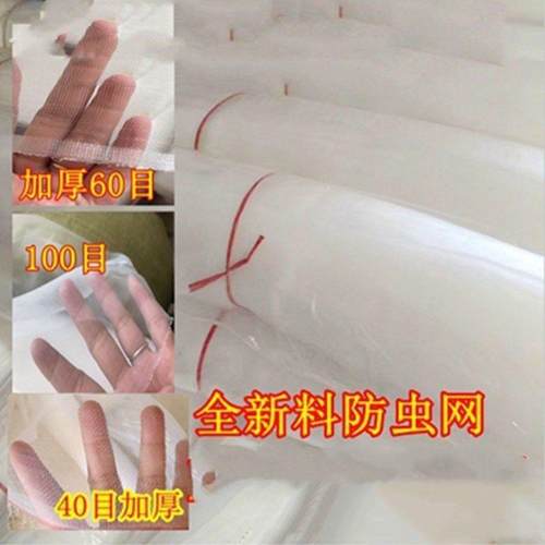 防虫网果园蔬菜农用大棚防蚊防虫害防柳絮棉围网白色抗老化加厚网