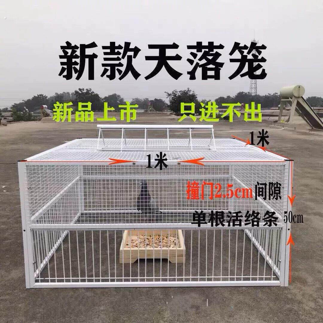 鸽子诱捕器天落笼只进不出鸽子笼加密收鸽笼活络门户外自动收鸽器