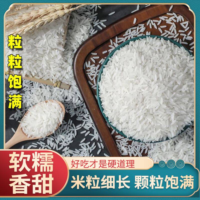 绿宝贡5斤丝苗米真空装新鲜大米宿舍煮粥煮饭家用2025新大米学生