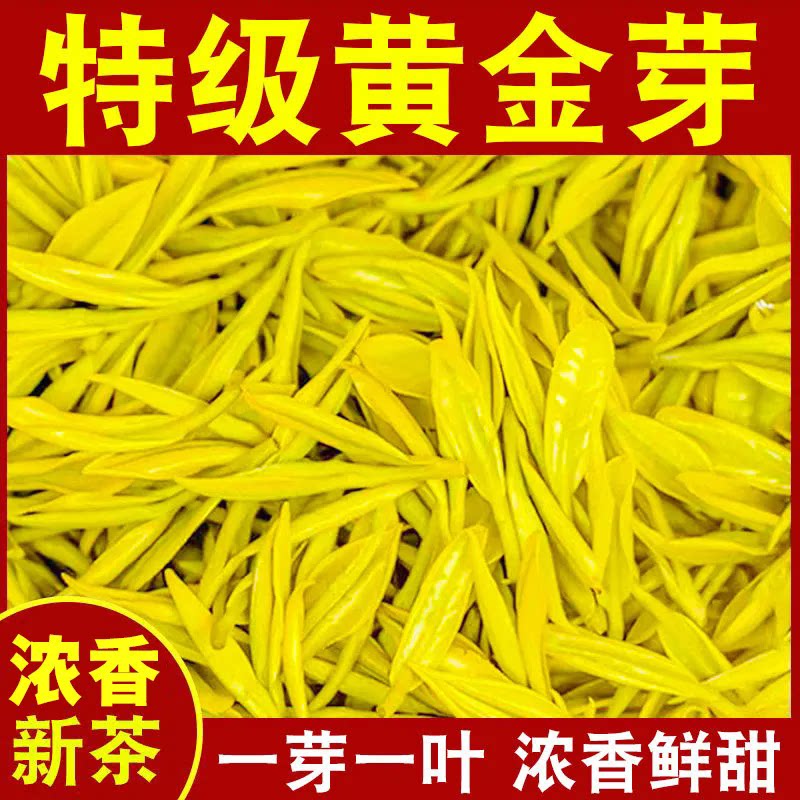 【特惠】黄金芽茶叶新货新茶绿茶明前正宗高档浓香耐泡罐装30g