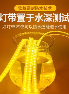 防水灯带实心带硅胶v可裁剪自粘工程户外灯条低MVG压1水224v下灯