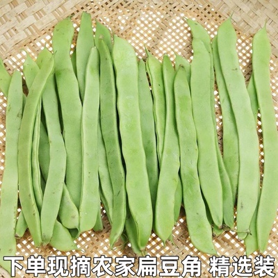 扁芸豆角新鲜四季豆刀四季豆刀豆无筋豆芸豆荷兰豆现摘新鲜蔬菜