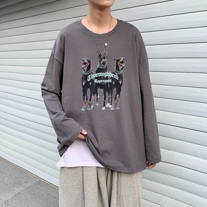 TC4006P30美式高街男2023春秋季新款潮流嘻哈中大童长袖百搭圆领图片