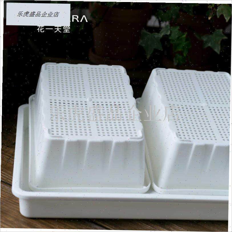 多肉育苗a盆筐整理盘闷养箱生石花肉锥切糕叶P插盘阳台种菜育播.