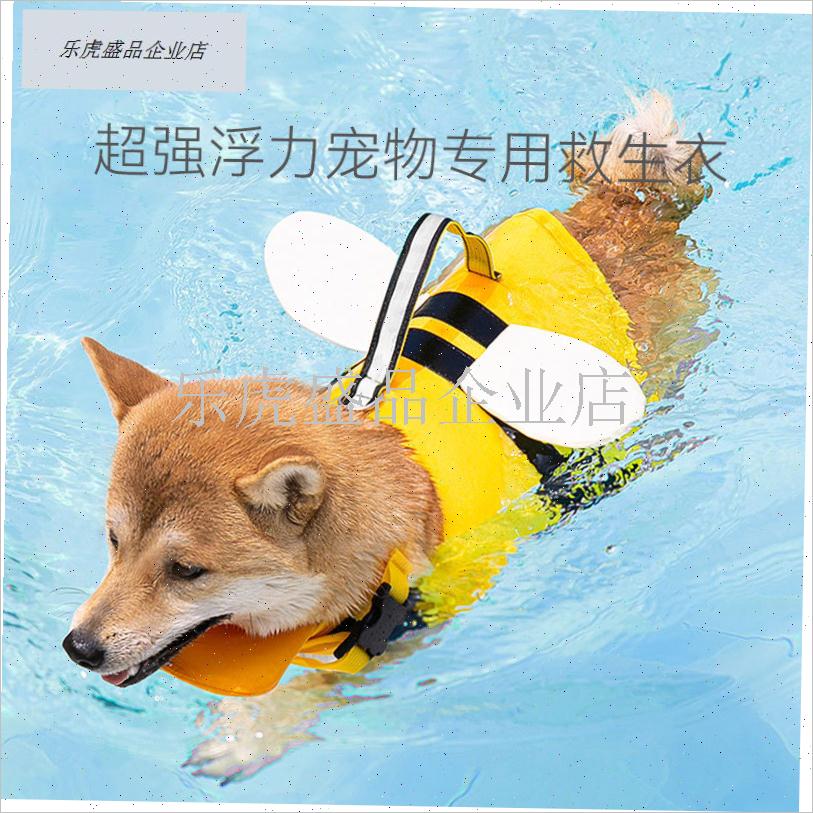 宠物专用猫咪狗狗游泳衣服中w小型犬救生衣泰迪比熊夏季玩水泳衣.