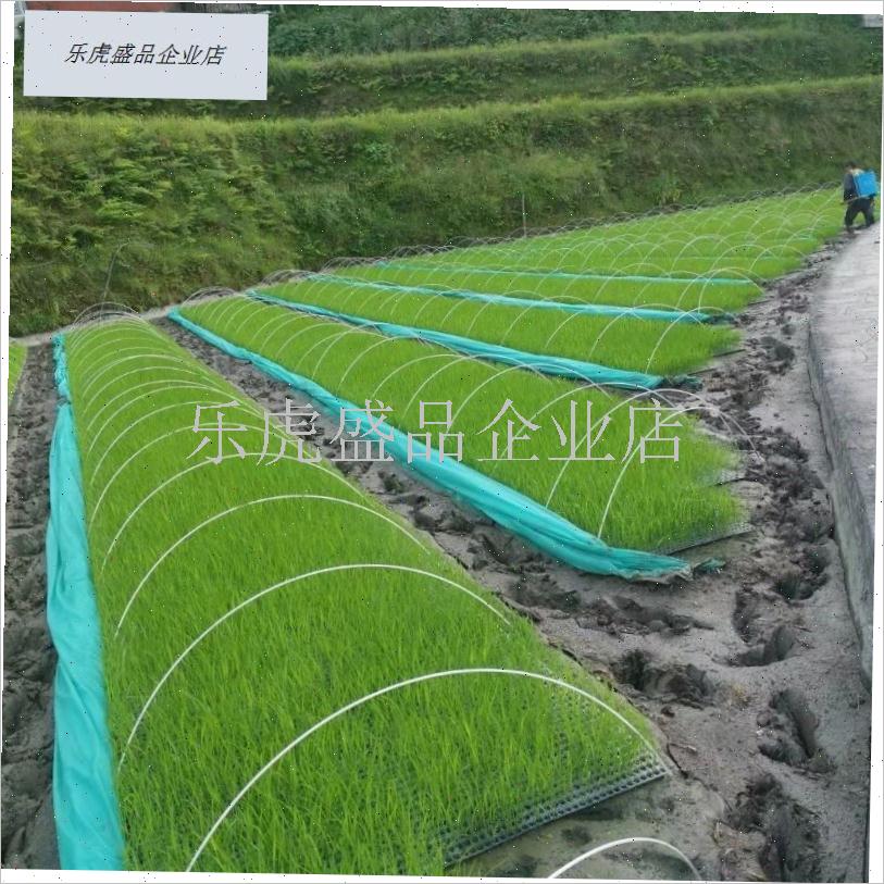 菜棚支架温室育苗塑料大棚弯管玻璃钢地膜搭棚弹力棒Y冬季园艺弓.