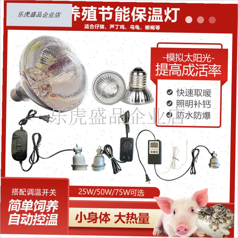 猪用保温a灯温控器小猪保温箱控制开关取暖灯头芦丁鸡宠物爬宠灯.