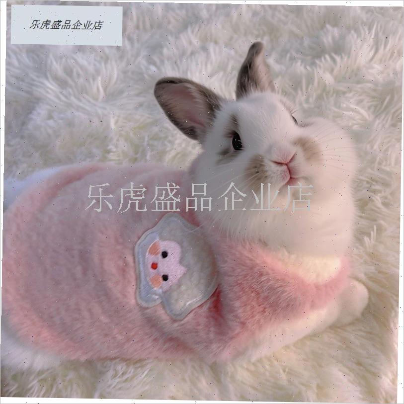 宠物小兔子d穿的衣服秋冬保暖可爱垂耳兔侏儒兔幼兔荷兰猪外出专.