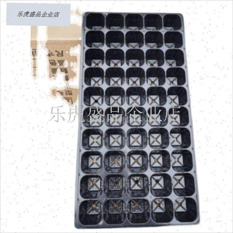 新款桉树苗育苗穴盘m大方底十y字50孔加厚加深周转盘营养盘桉树.